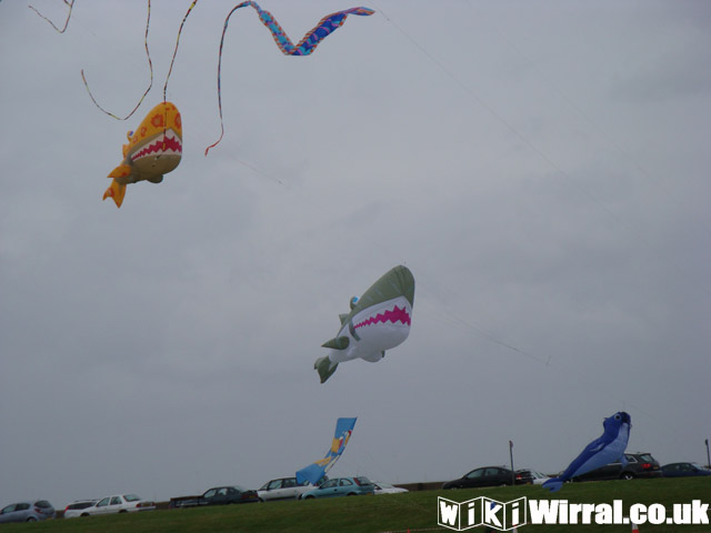 Attached picture Kite 11.jpg
